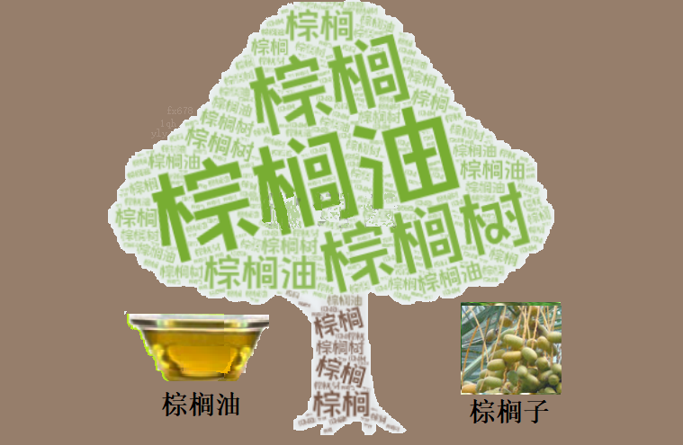 棕榈油市场观察：获利了结压制盘面，供应隐忧限制跌幅(图1)
