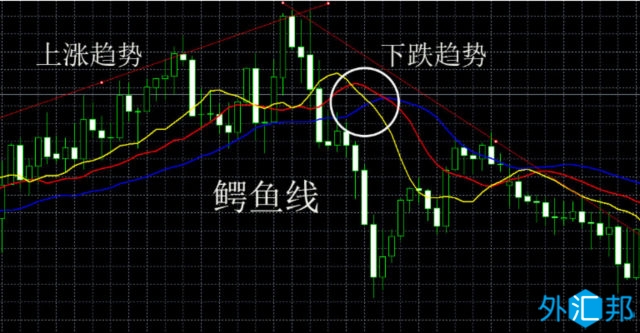 外汇黄金交易中鳄鱼线指标的具体应用方法